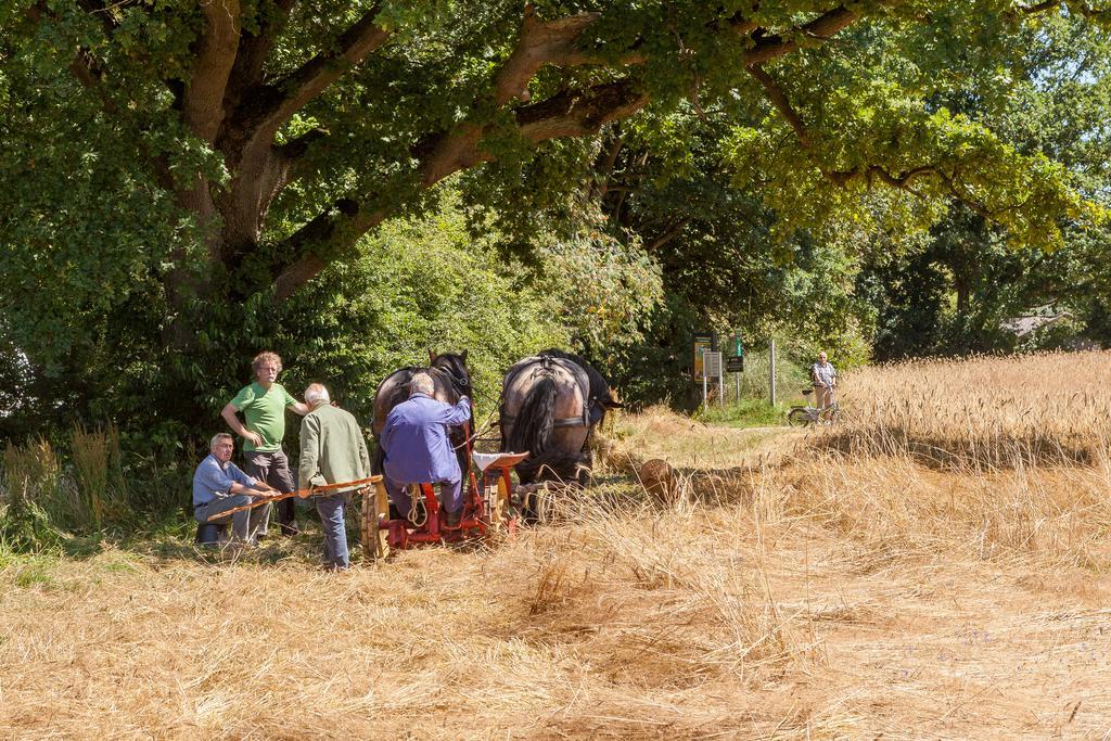 Hoeve Springendal Ootmarsum Luaran gambar