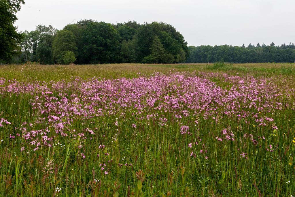 Hoeve Springendal Ootmarsum Luaran gambar