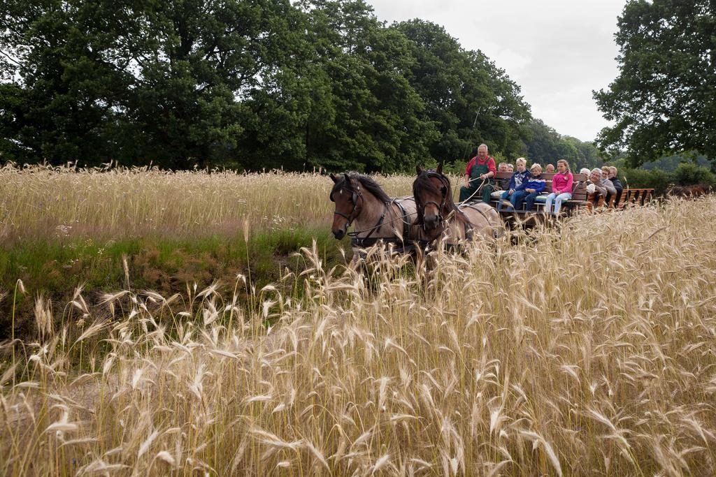 Hoeve Springendal Ootmarsum Luaran gambar