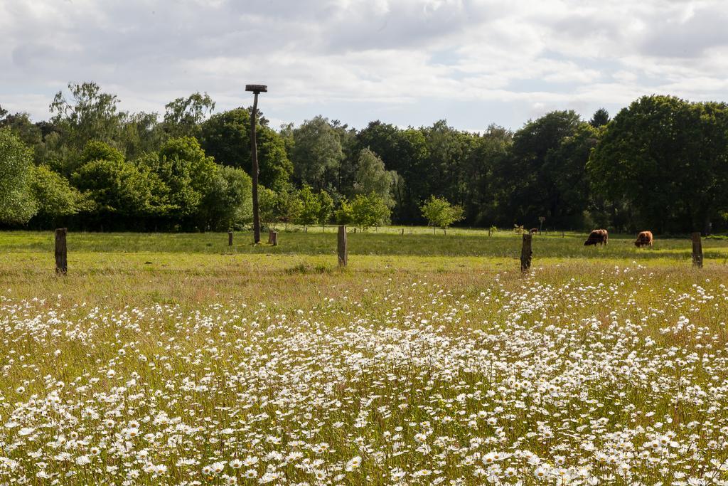 Hoeve Springendal Ootmarsum Luaran gambar