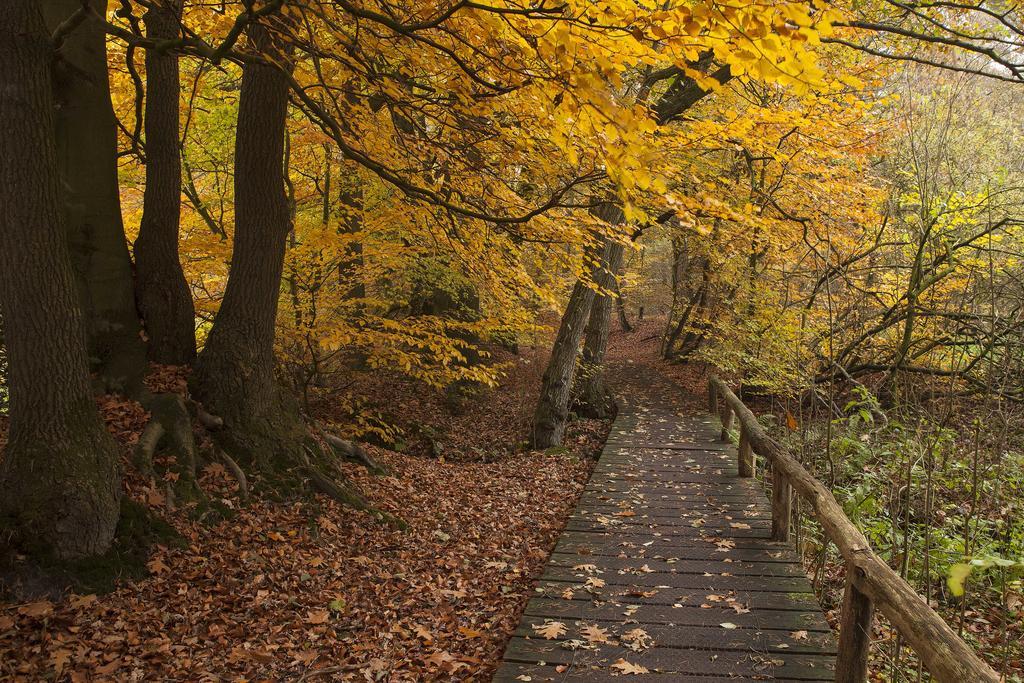 Hoeve Springendal Ootmarsum Luaran gambar