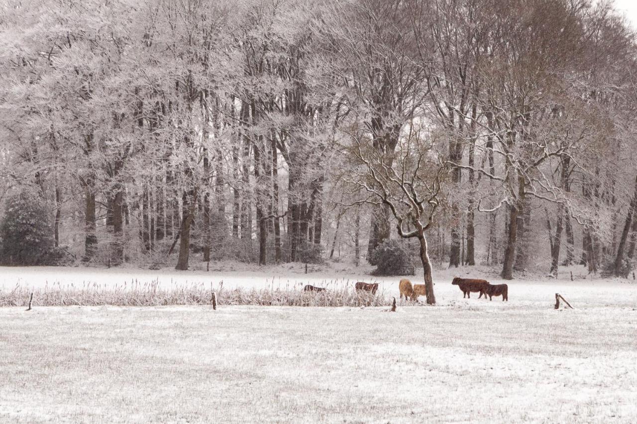 Hoeve Springendal Ootmarsum Luaran gambar