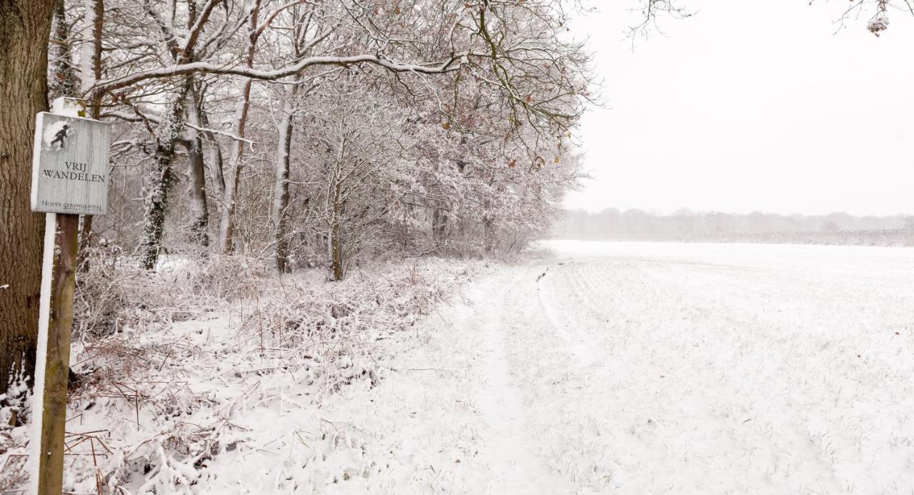 Hoeve Springendal Ootmarsum Luaran gambar